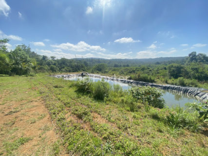 Image 8 - 1011230