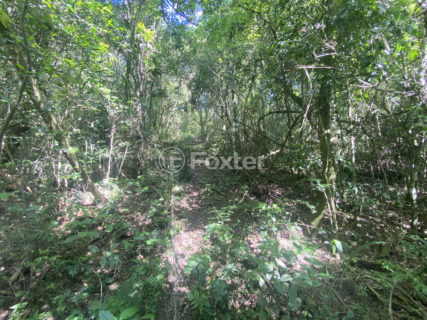 Image 18 - 1011230