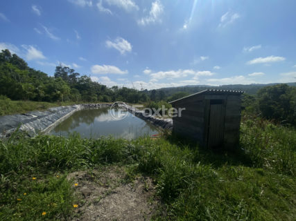 Image 10 - 1011230