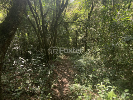 Image 17 - 1011230