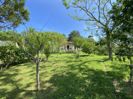 Image 31 - 1011230
