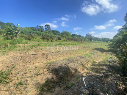 Image 4 - 1011230