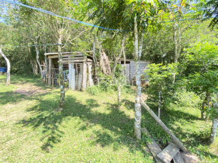 Image 16 - 1011230
