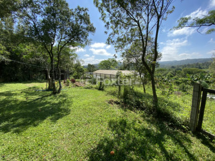 Image 23 - 1011230