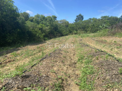 Image 7 - 1011230