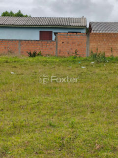 Image 4 - 1011324