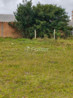 Image 3 - 1011324