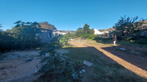 Image 4 - 1011475