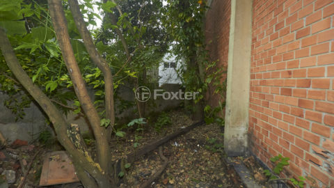 Image 33 - 1011551