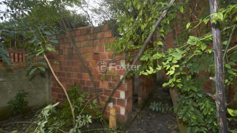Image 32 - 1011551