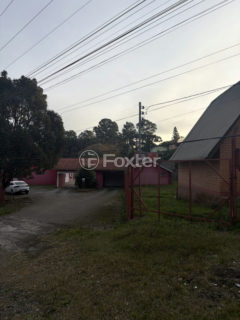 Image 10 - 1011758