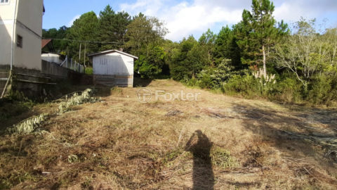 Image 3 - 1011773
