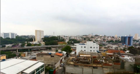 Image 13 - 1011850