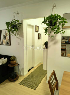 Image 5 - 1011875