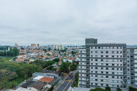 Image 3 - 1012174