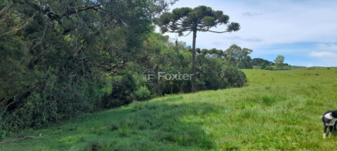 Image 4 - 1012279