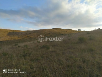 Image 11 - 1012279