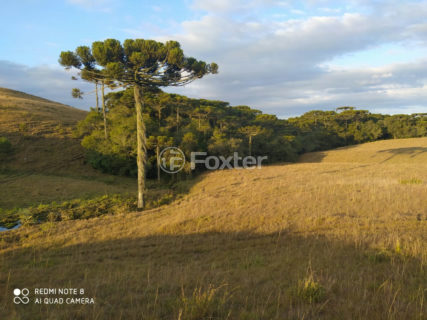 Image 8 - 1012279