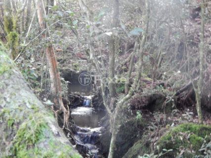Image 6 - 1012279