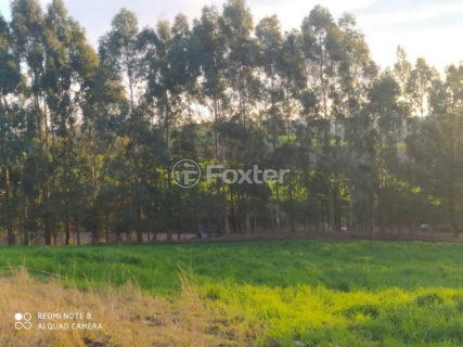 Image 10 - 1012279