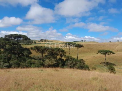 Image 17 - 1012279