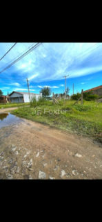 Image 7 - 1012615