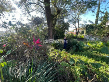 Image 61 - 1012700