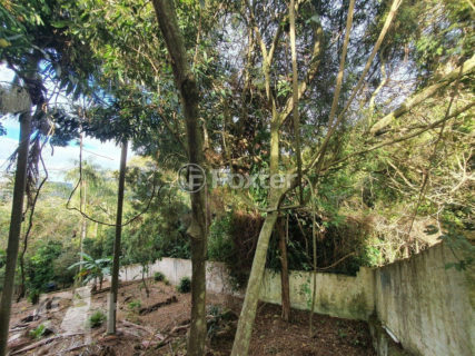 Image 24 - 1012713