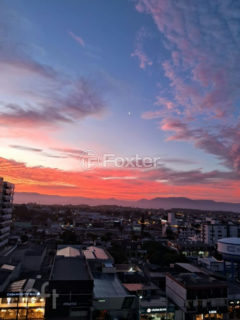 Image 20 - 1012861