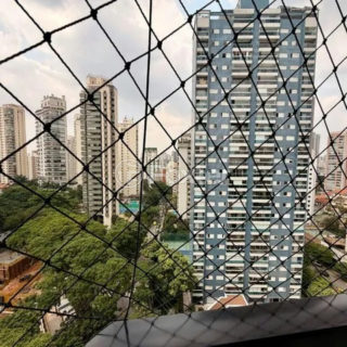 Image 8 - 1013616