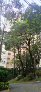 Image 19 - 1014052