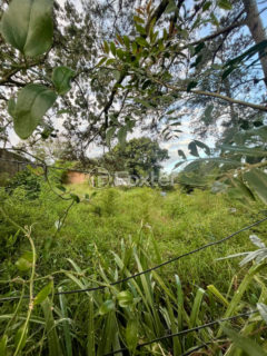 Image 5 - 1015330