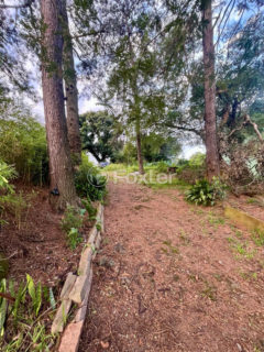 Image 3 - 1015330