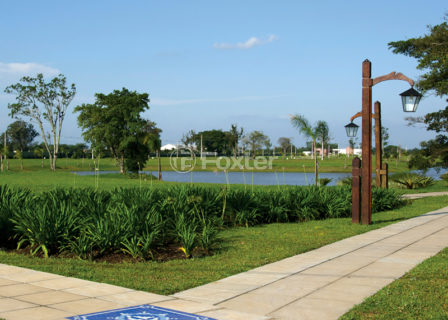 Image 8 - 1015541