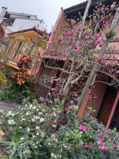 Image 10 - 1015789