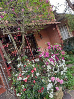 Image 24 - 1015789