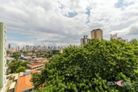 Image 8 - 1015868