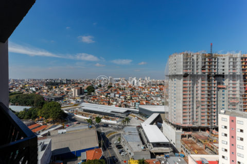 Image 7 - 1016088