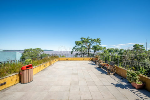 Image 36 - 1016396