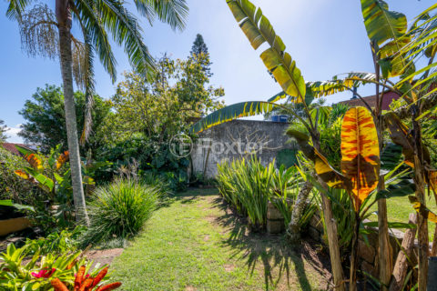 Image 65 - 1016396