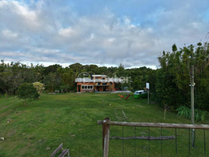 Image 31 - 1016482