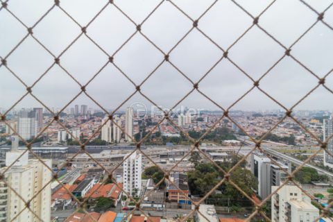 Image 3 - 1016652