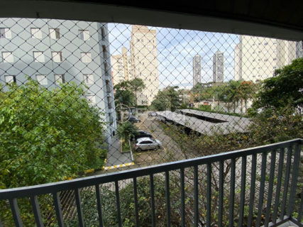 Image 5 - 1017163