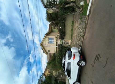 Image 40 - 1017175