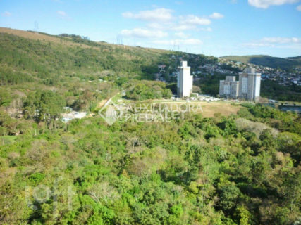 Image 16 - 1017215
