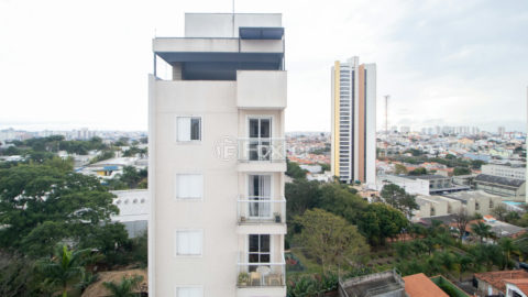 Image 4 - 1017252