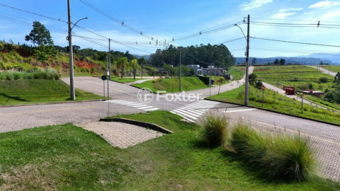 Image 2 - 1017438