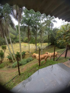 Image 11 - 1017657