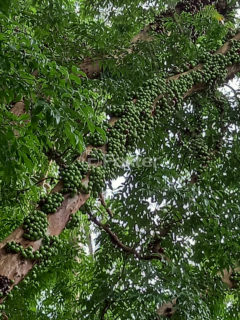 Image 17 - 1017657