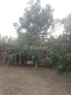 Image 23 - 1017722